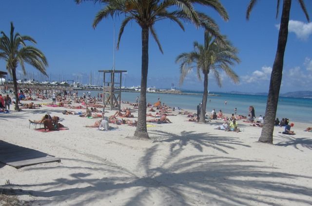 Ultimas noticias alojamiento en Mallorca